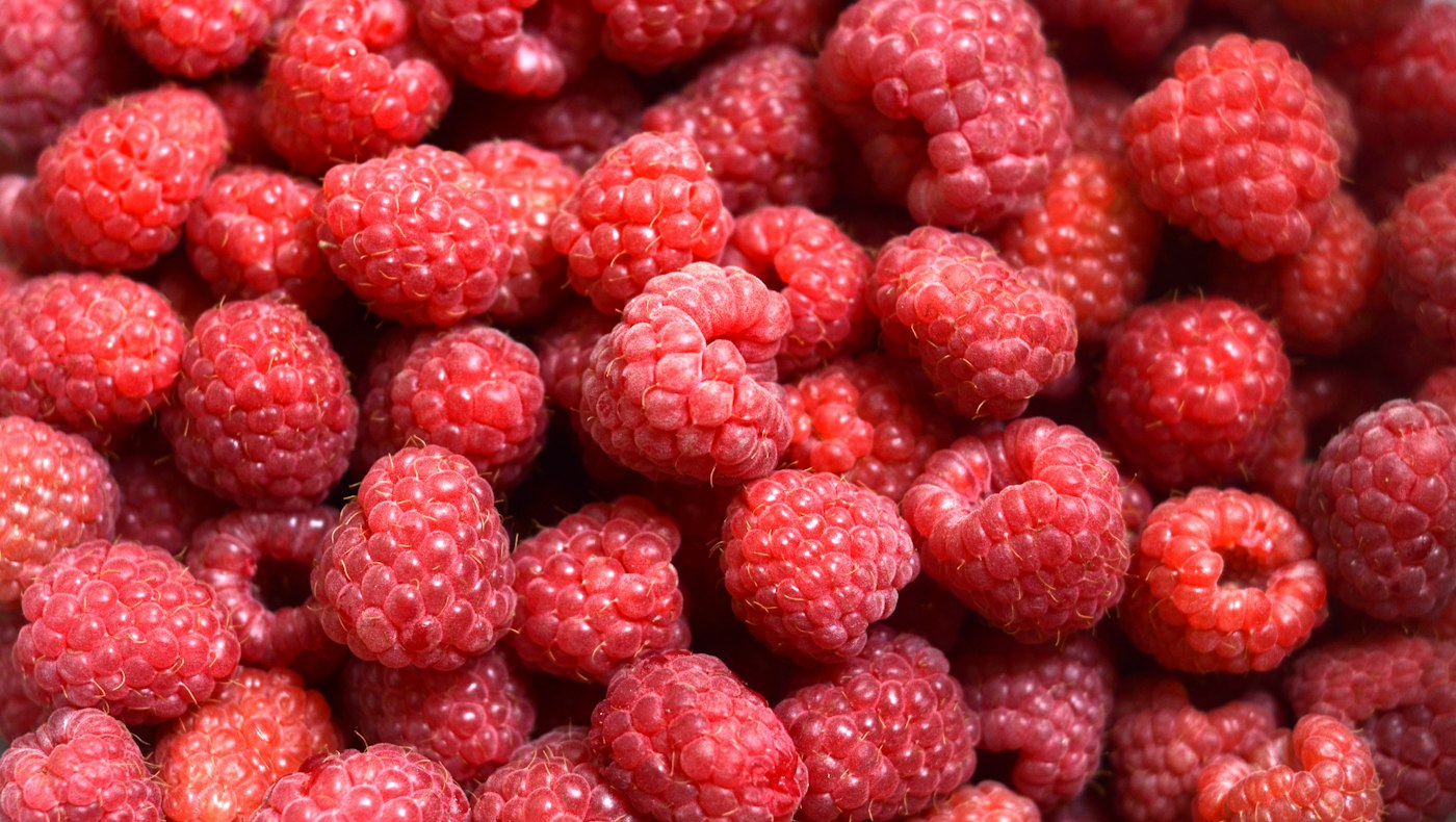 Schale mit frischen Himbeeren